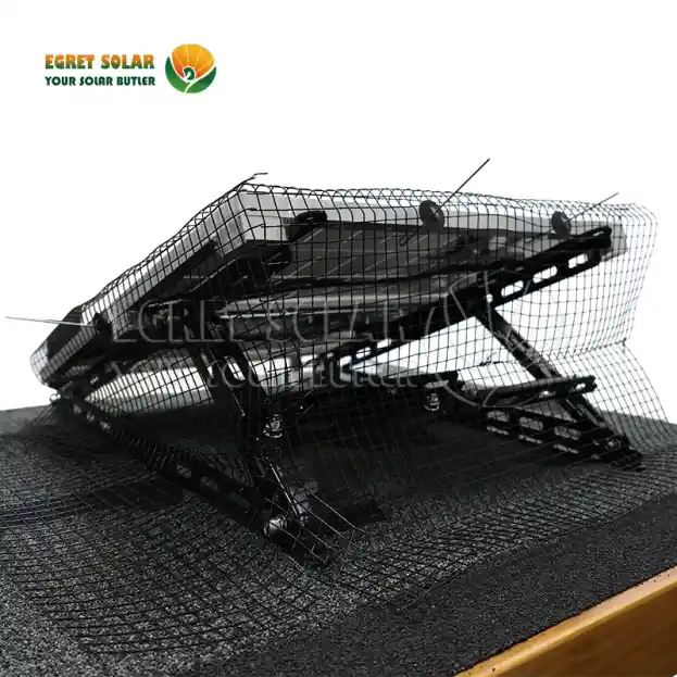 किन सौर्य पक्षी जाल प्रमुख रक्षा रेखा हो?